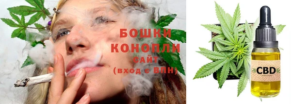 молекула духа Вязьма