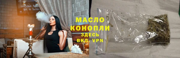 молекула духа Вязьма