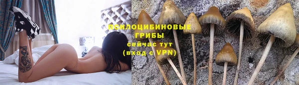 альфа пвп Вяземский