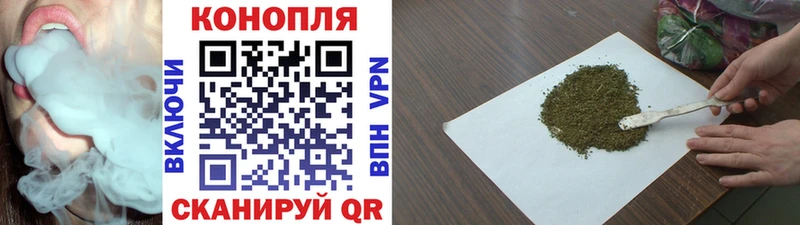 Конопля семена Купить где Аргун